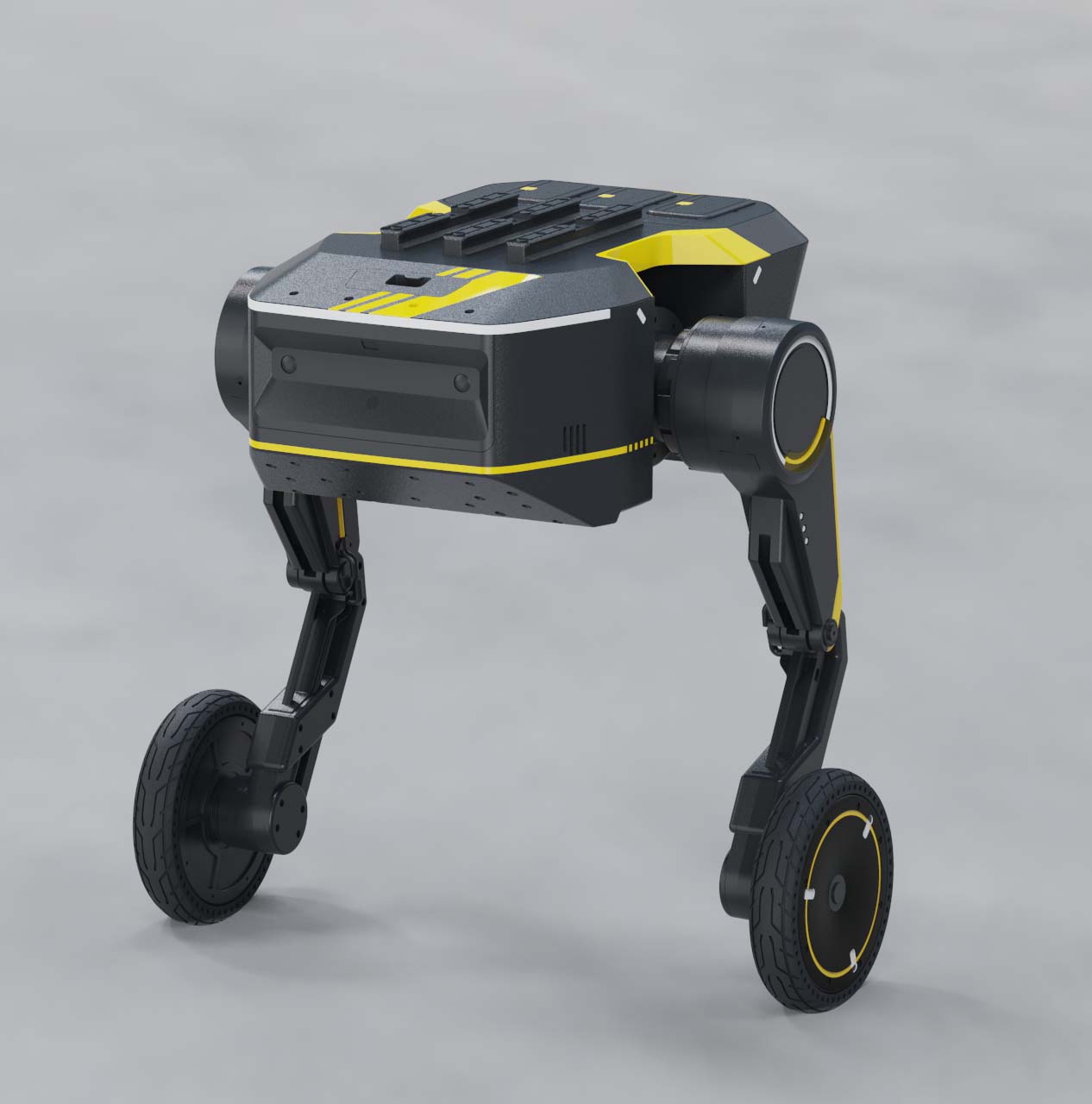 two wheeled robot