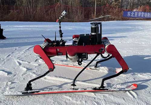 Robot trượt tuyết sáu chân được ra mắt, hãy trượt tuyết với robot!