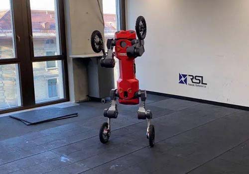 Robot bốn chân do Swiss-Mile phát triển có thể đứng, lăn và giao hàng một cách tự chủ