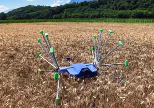 Robot SentiV có thể đi khắp cánh đồng, lăn mình kiểm tra mùa màng