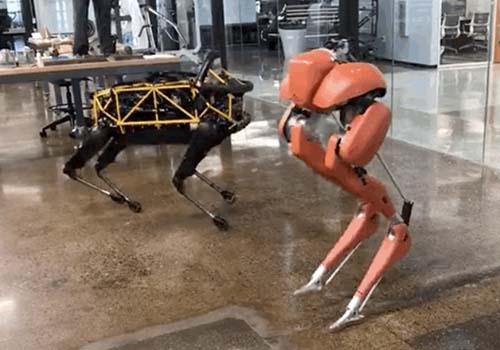 Ngạc nhiên! Robot hai chân Cassie phá kỷ lục Guinness thế giới 100 mét trong 24,73 giây
