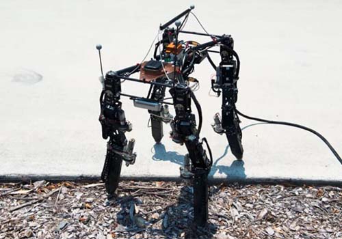 Sự phát triển của robot đã qua bốn lần chỉ để thích nghi với địa hình phức tạp